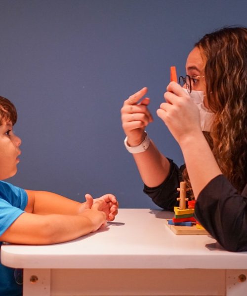 Família e Inclusão: O Papel Vital no Desenvolvimento da Criança Autista