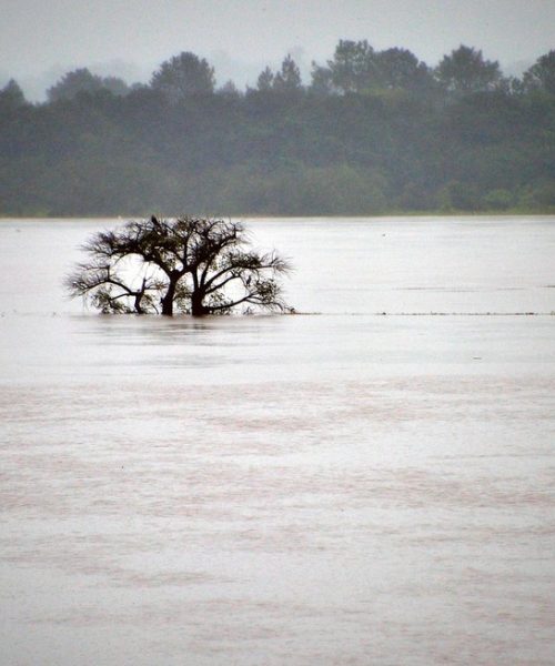 Tragédia no RS: Mortes Confirmadas sobem para 83 após Enchentes