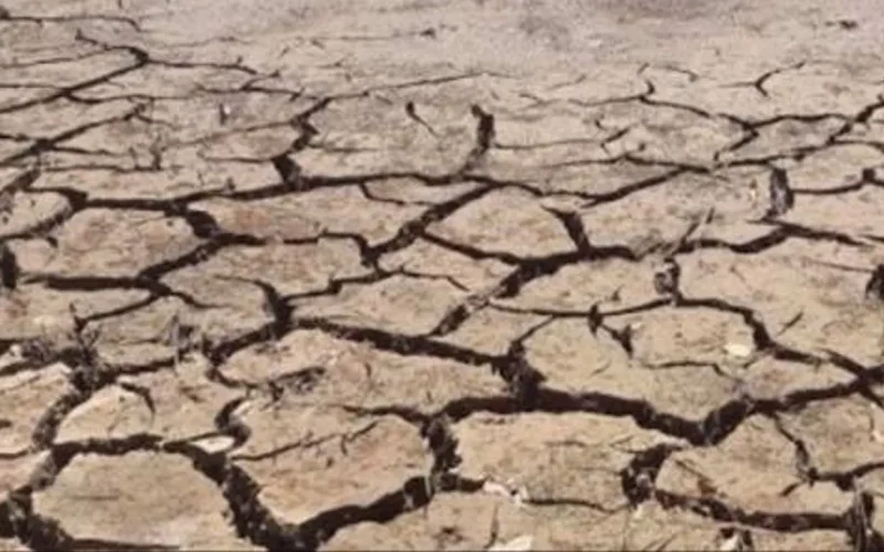 Estiagem no Rio Grande do Sul se Agrava e Número de Municípios em Emergência Aumenta