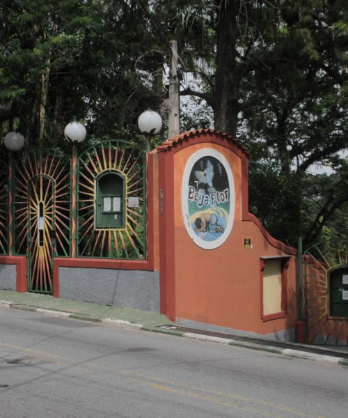 Rede Cultural Beija-Flor leva jovens de comunidades ao ensino superior com projeto Meninas Valentes