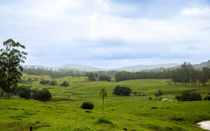 Temperaturas frias marcam o início da semana no RS nesta segunda-feira (27); veja as mínimas registradas