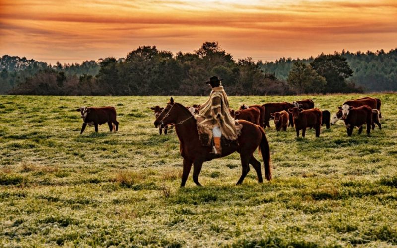 Frio intenso deve atingir o Rio Grande do Sul na próxima segunda-feira (11)