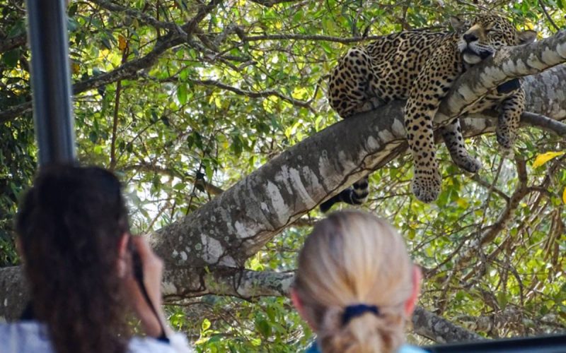 Parceria integra tecnologia e qualificação para ampliar turismo em Mato Grosso do Sul
