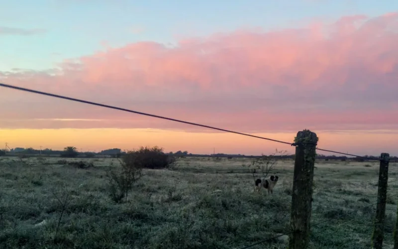 Temperaturas caem para negativos no Rio Grande do Sul nesta terça-feira (12)