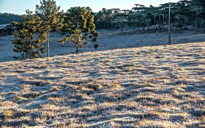 Domingo gelado no RS: temperaturas podem cair abaixo de zero
