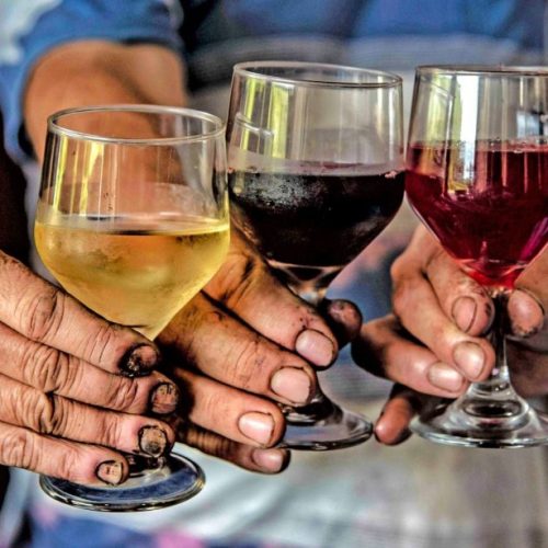 Expectativas Favoráveis para a Colheita de Uvas no Rio Grande do Sul em 2026