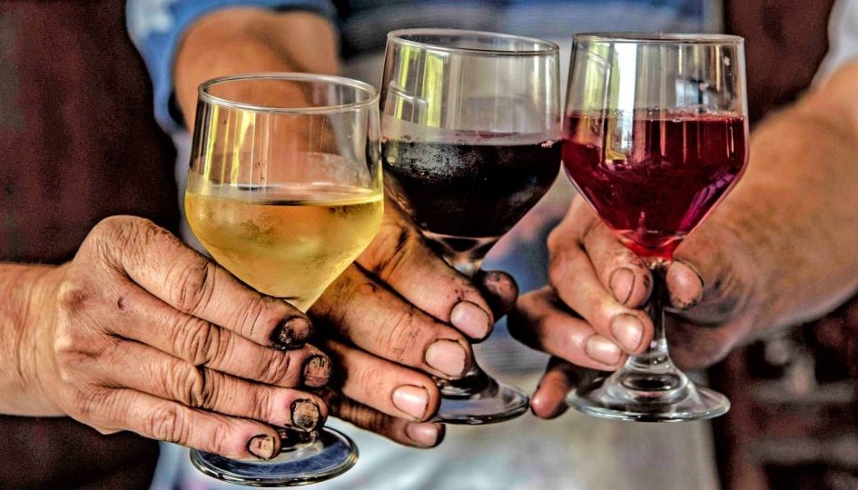 Expectativas Favoráveis para a Colheita de Uvas no Rio Grande do Sul em 2026