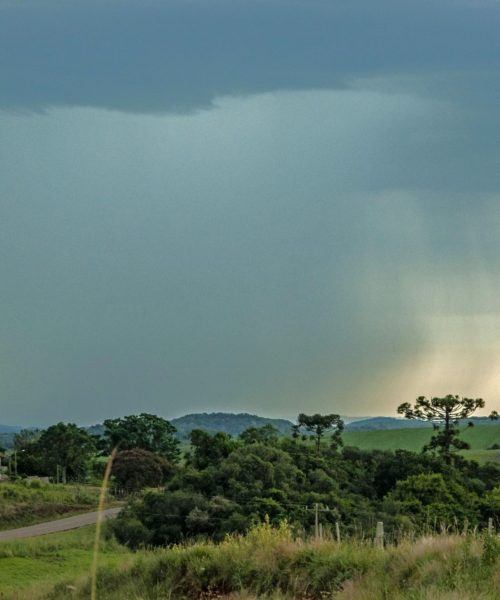 Chuva intensa promete marcar a segunda-feira (8) no RS, com volumes que podem chegar a 60mm por dia