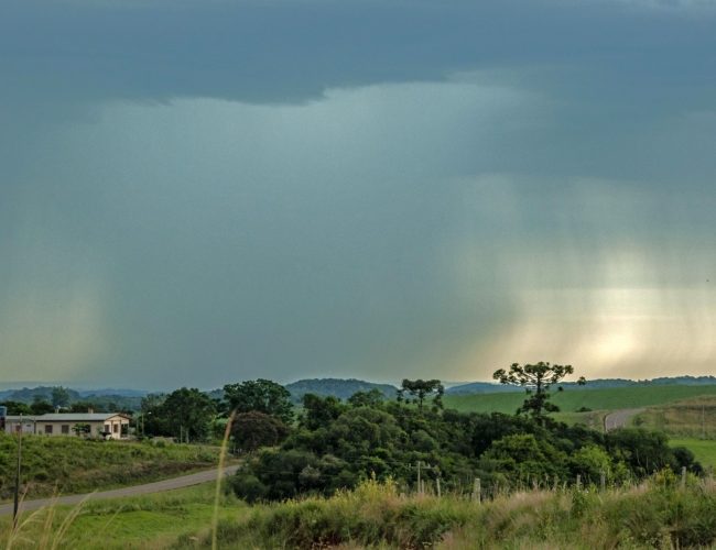 Chuva intensa promete marcar a segunda-feira (8) no RS, com volumes que podem chegar a 60mm por dia