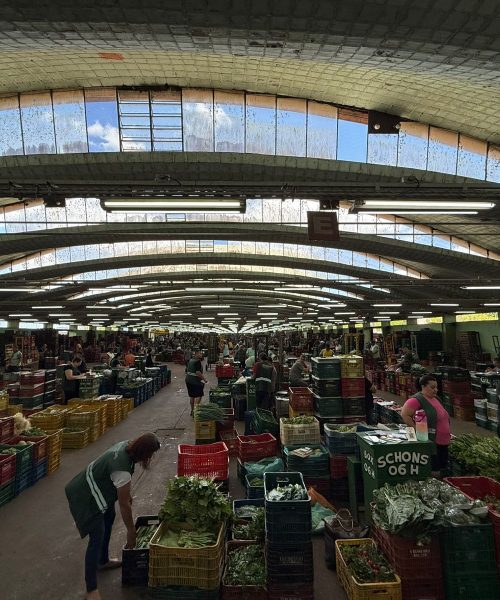 Preços de 15 hortigranjeiros despencam na Ceasa do Rio Grande do Sul