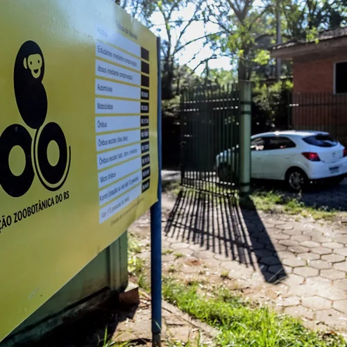 Zoológico de Sapucaia do Sul volta a receber visitantes neste sábado, após trágicas perdas de aves