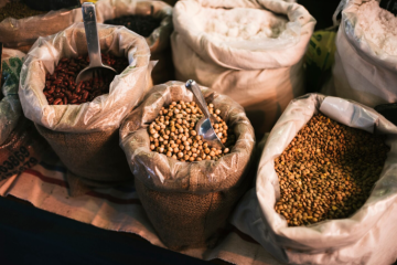Agricultura e pecuária em Rondônia: como pioneiros ajudaram a consolidar o estado