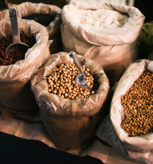 Agricultura e pecuária em Rondônia: como pioneiros ajudaram a consolidar o estado