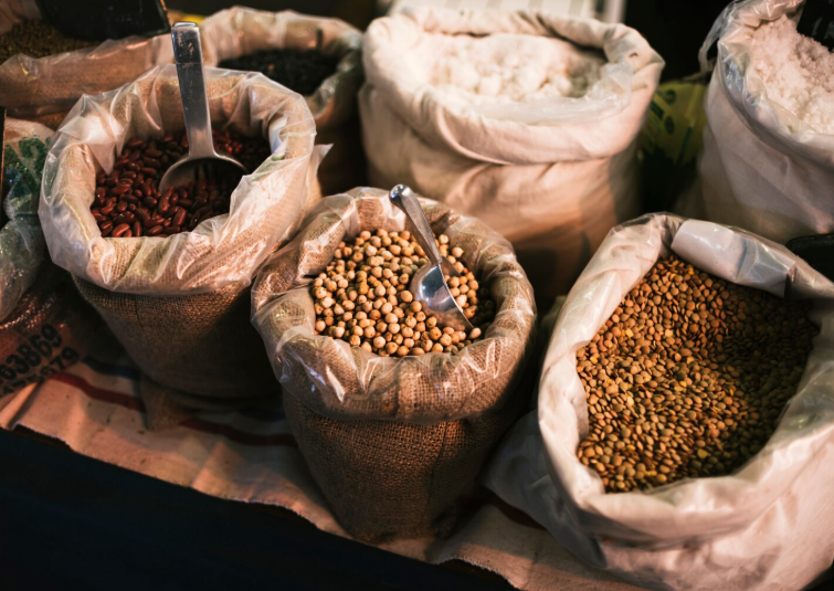 Agricultura e pecuária em Rondônia: como pioneiros ajudaram a consolidar o estado