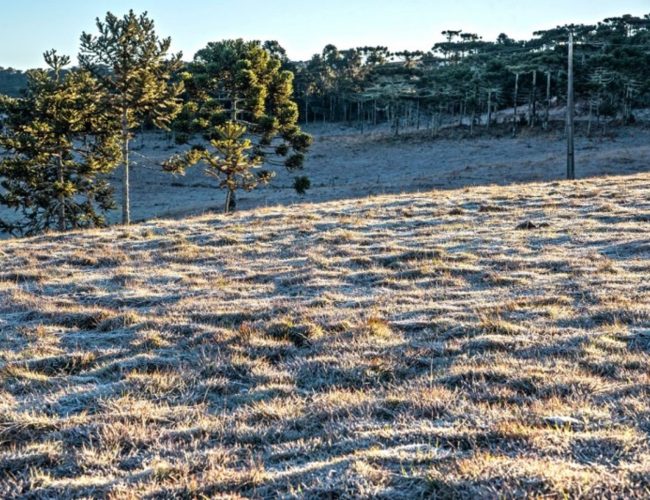 Frio intenso marca o amanhecer no Rio Grande do Sul com registros de temperaturas abaixo de zero