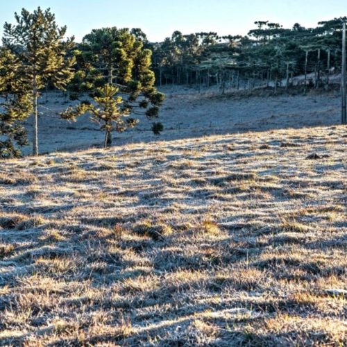 Inmet prevê esfriamento e possibilidade de geadas no Rio Grande do Sul ao longo da semana