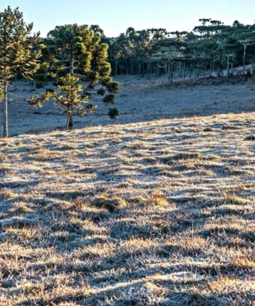Inmet prevê esfriamento e possibilidade de geadas no Rio Grande do Sul ao longo da semana