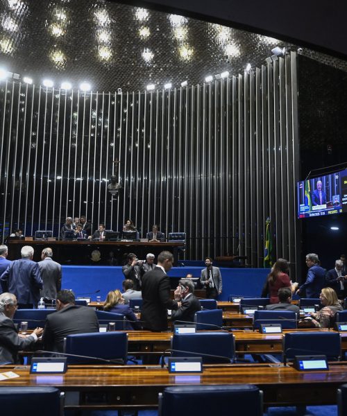 Senado autoriza reestruturação de dívidas agrícolas com taxas de juros reduzidas