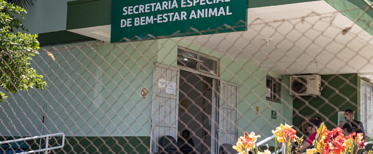 Nove acusados de eutanásia ilegal de animais em Canoas enfrentam processo judicial