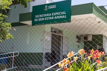 Nove acusados de eutanásia ilegal de animais em Canoas enfrentam processo judicial