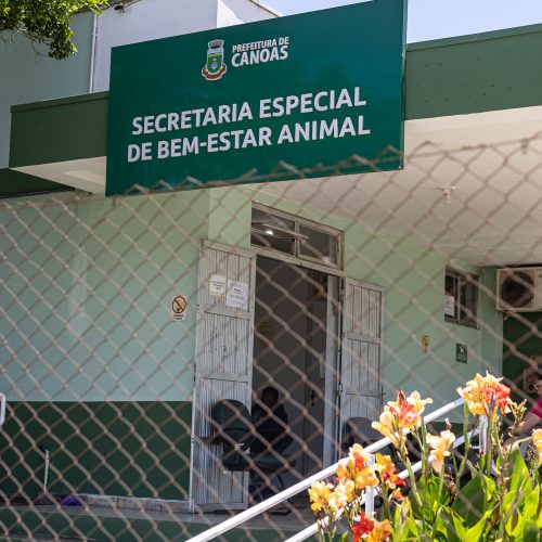 Nove acusados de eutanásia ilegal de animais em Canoas enfrentam processo judicial