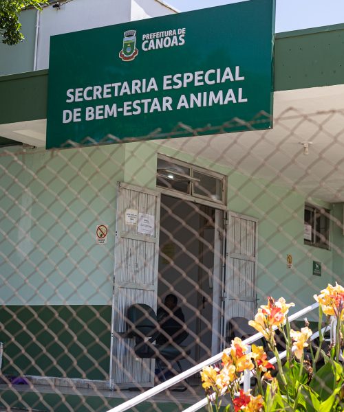 Nove acusados de eutanásia ilegal de animais em Canoas enfrentam processo judicial