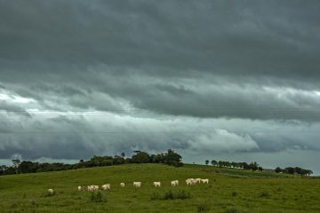 Tempestades à vista: Inmet sinaliza riscos no RS entre 27 e 28 de novembro