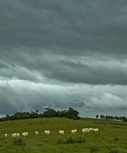 Tempestades à vista: Inmet sinaliza riscos no RS entre 27 e 28 de novembro