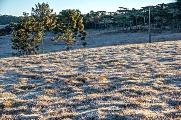 Temperaturas baixas persistem no Rio Grande do Sul neste sábado (4), com aviso de geada emitido pelo Inmet