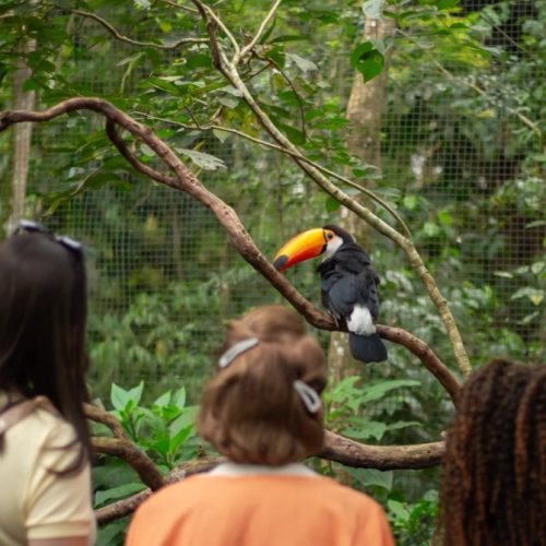 Porto Alegre dá boas-vindas a julho com voo direto para Foz do Iguaçu