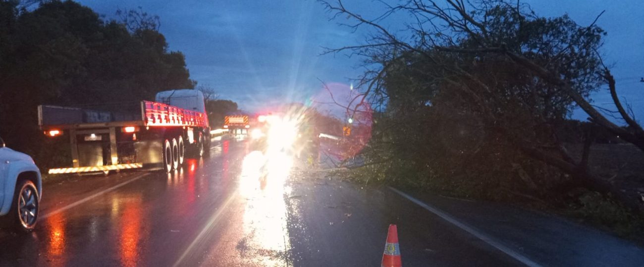 Granizo e ventos fortes causam estragos em Eldorado do Sul