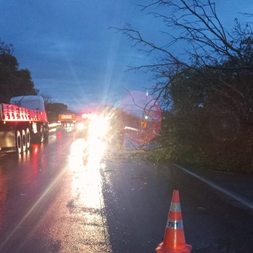 Granizo e ventos fortes causam estragos em Eldorado do Sul