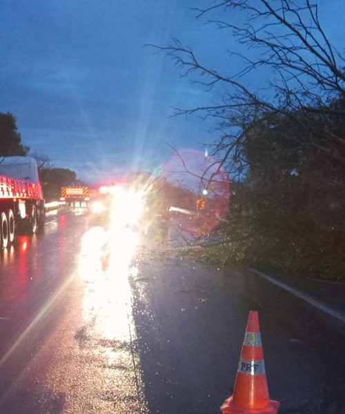 Granizo e ventos fortes causam estragos em Eldorado do Sul